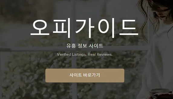 오피가이드 1