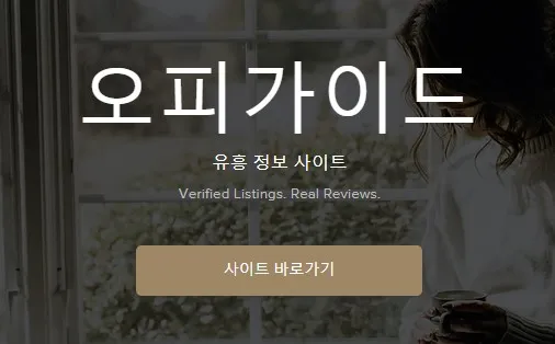 오피가이드 1